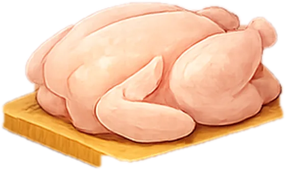 Illustration of chicken, fresh, whole