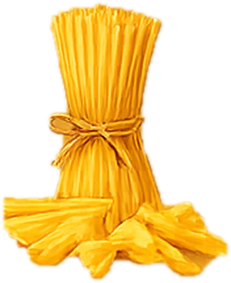 Illustration of spaghetti & macaroni